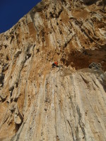 SNV80484.JPG